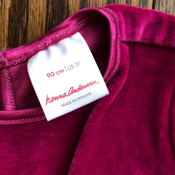 Hanna Andersson Magenta Velvet Dress - Picture 3 of 3